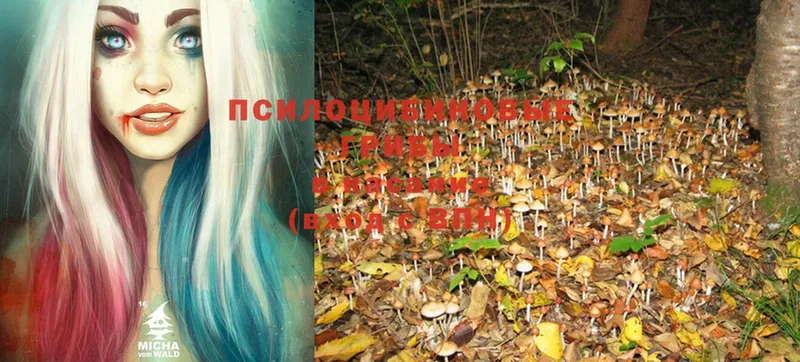 Купить Руза КОКАИН Гашиш Бошки Шишки