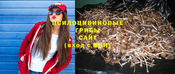ALPHA-PVP Нефтекумск