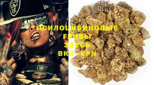 гидропоника Нея